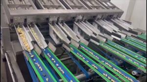 Buy cheap AI Powered Cashew Sorting Machine Deep Learning Technology with 12 Lanes+12 Outlets , 1000kgs/H,360° Rotating Scanning product