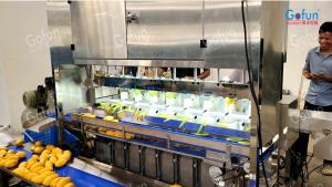 Buy cheap Stainless Steel Mango Peeling Machine Suitable For Apples Potatoes Carrots Etc. Automatic Batch Peeling product