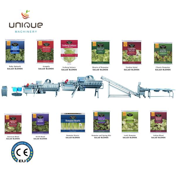 Salad Processing Made Easy Vegetable Washing Machine for Baby Spinach Lettuce Cabbage