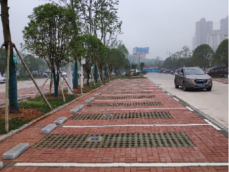 Geomagnetic Parking Space Detector Surface Mount Dual Mode Car Park Guidance