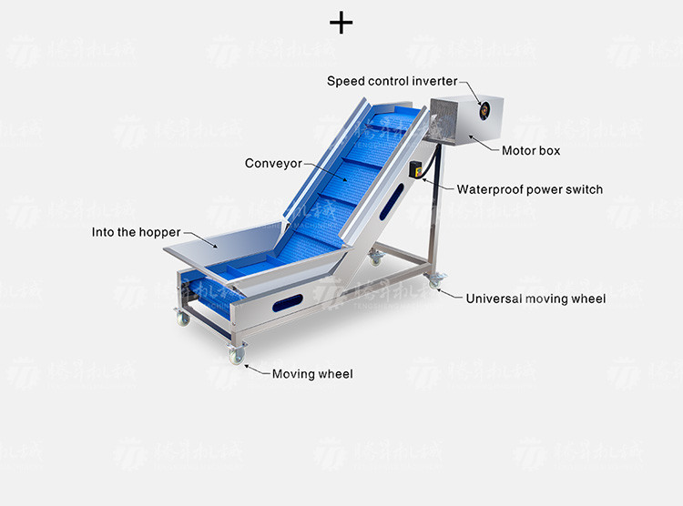 Revolutionize Your Production Process with Our Fruit And Vegetable Processing Line