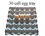 Full Automatic Paper Egg Tray Maker Machine High Efficiency Recycled