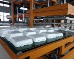 Mechanical Arm PS Foam Food Container Production Line Water Absorption Styrofoam