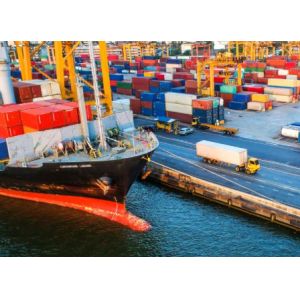 Buy cheap High Reliability Customs Declaration Service , USA Customs Clearance Broker product