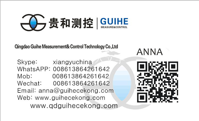 Gas station management system with Tank level gauge ATG and Digital leakage detector, float type level meter/sensor