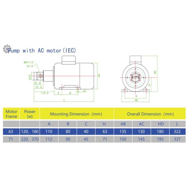 CE Certification NP42 Mini Transfer Pump With PEEK Material Gear And Bearing