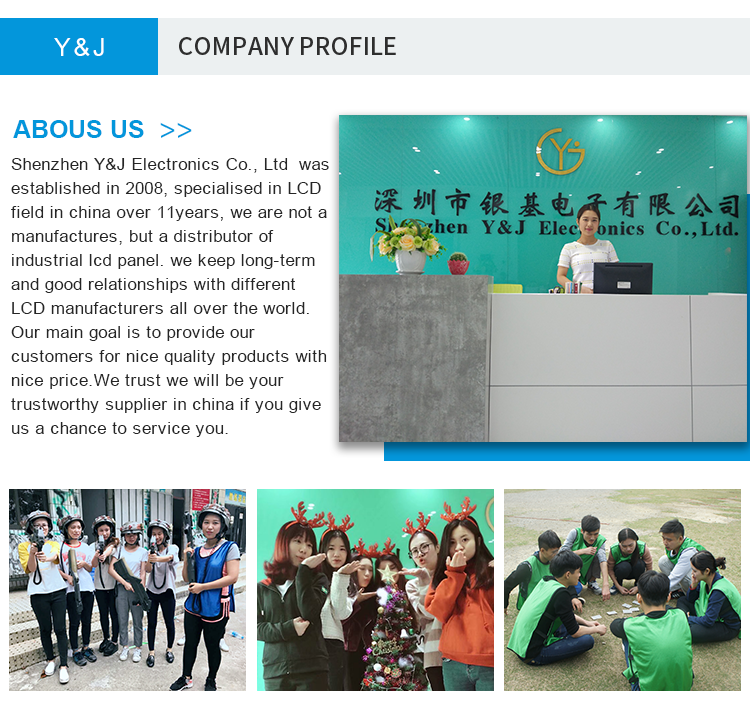 Outdoor High Brightness IPS 50 Pins LVDS 10.2 Inch 1920*1080 TX26D208VM0AVA Lcd Touch Display Modules with In-Cell Touch