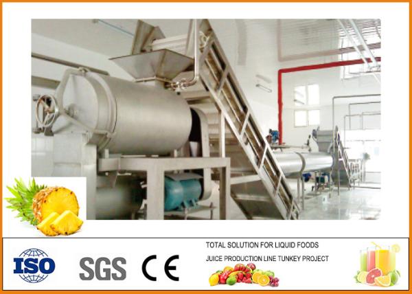 Automatic Dried Preserved Pineapple Processing Plant CFM-B-03-03T