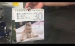 High Speed Wire O Machine Wire Spiral Binding Machine 330KG Weight