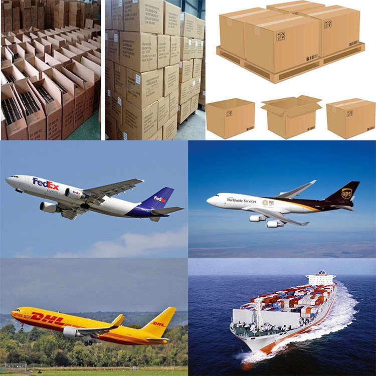 Blank Fold Up Gift Boxes White Customized Collapsible Packaging Box For Laboratory