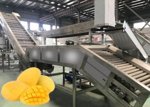 Buy cheap SUS304 Mango Processing Equipment Energy Saving Safety Control For Operators product