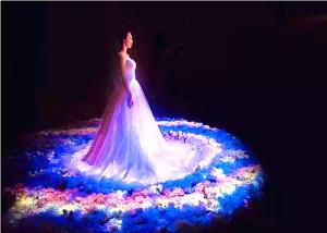 Custom Interactive Hologram Display , 3D Hologram Screen For Advertising