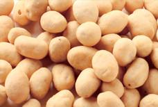 Quality OEM Service Coated Peanut Snack , Garlic BBQ Coated Peanuts Kosher Prodcuts for sale