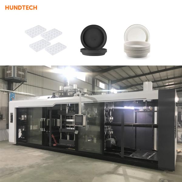 Quality 3kw Servo Motor Plastic Material Tray Making Machine Multistation High Productivity for sale