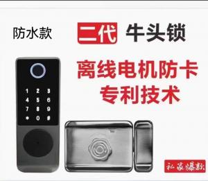 China Smart Door Lock Bull lock Stainless steel door lock on sale
