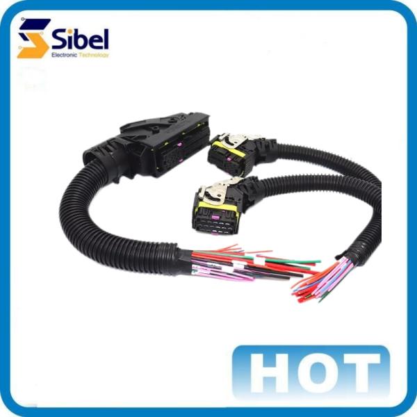 Factory Customized Connector Wire Harness Engine Injector Wire Harness fuel pump wiring harness