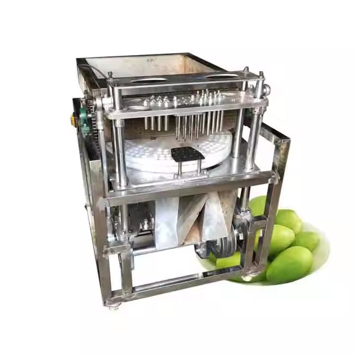 Automatic Emirates Date Pitting Machine Cherry Olive Jujube Pitter Corer Seed Remover Machine
