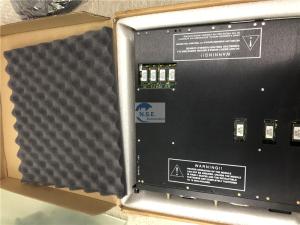 China Triconex 3664 DIGITAL OUTPUT MODULE 24 VDC OPTO-ISOLATED in stock now on sale