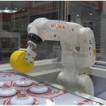 Kuka Robot Price LBR Iiwa 7 R800 With CNGBS Robot Gripper For Handling As