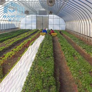 China Polytunnel Zinc Steel Frame Greenhouse PE Membranes Covering on sale