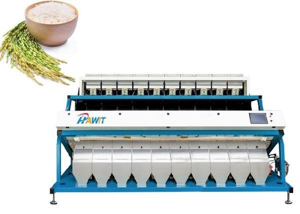 Quality Black Rice Industrial Sorting Machine for sale