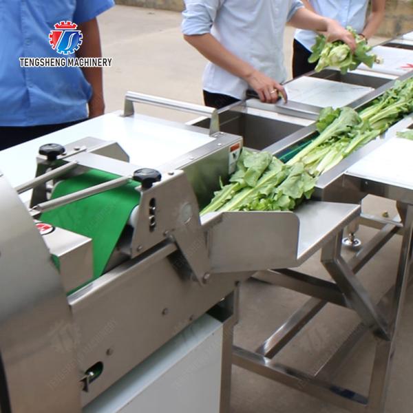 Fruit and vegetable selection, cutting and washing production line Fruit Vegetable FOOD processing production Machine