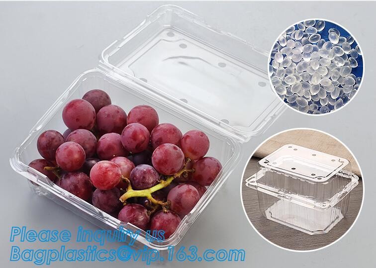Blister large clear plastic fruit container with lid for fruit packaging,blister fruit box /container/ fruit Tray/ Clear