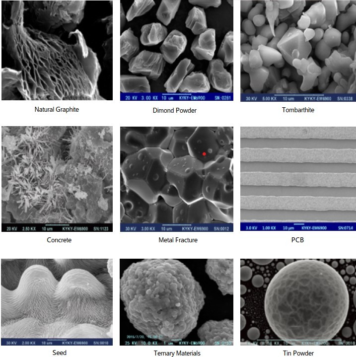 8X-300,000X Scanning Electron Microscope 3-6nm Resolution EBSD EBSD