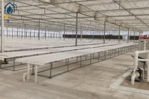 Buy cheap NFT Hydroponic Pipe And Pipeline System For Efficient Vegetable Cultivation product