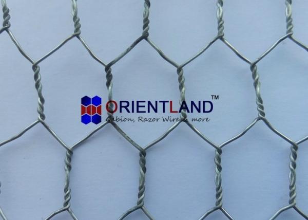 Quality Garden Chicken Wire Netting Fencing Rabbits Net Protect 0.2m-3m Width for sale