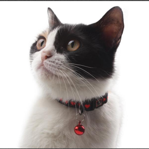 Sustainable Polyester Tactical Adjustable Pet Collars Leashes