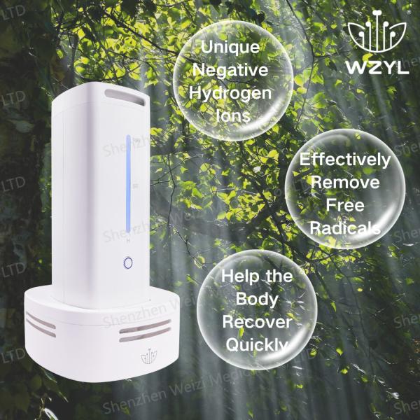 Quality 12V Negative Hydrogen Oxygen Inhale Generator 18W WEIZI WZ-HX02 for sale