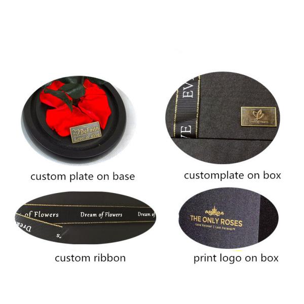 beauty and the beast roses preserved roses in glass dome rose for lover's gift