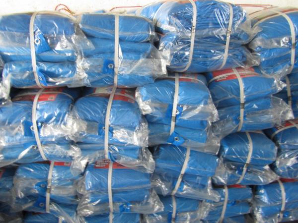 Quality discount various pe tarpaulin tarps closeouts for sale