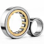 NU 2232 ECML;NJ 2232 ECML Cylindrical Roller Bearings Use For Vibrating Screen