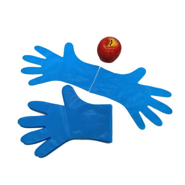 EN13432 PBAT Corn Starch Protective Packaging Compostable Disposable Gloves