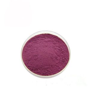 Concentrated Juice Black Currant 10% Anthocyanin Extract Powder