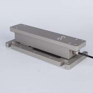 Parallel Beam Weighing Module