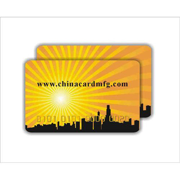 Blank or preprinted hi-co magnetic stripe card,Offset Printing Plastic PVC VIP Discount Magnetic Stripe Card