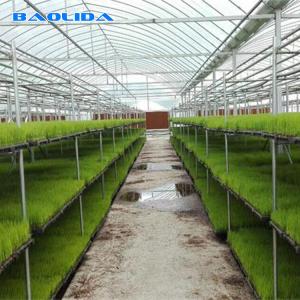 China Plastic Transparent Multi Span Greenhouse Agriculture Side Window Support on sale