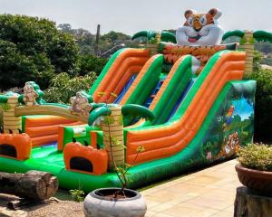 Buy cheap Tiger Double Side Inflatable Jump Bouncer Adult Bouncy Castle product