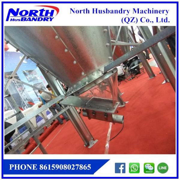 Quality poultry ground raising main feeding line with hot galvaized hopper pan silo for sale