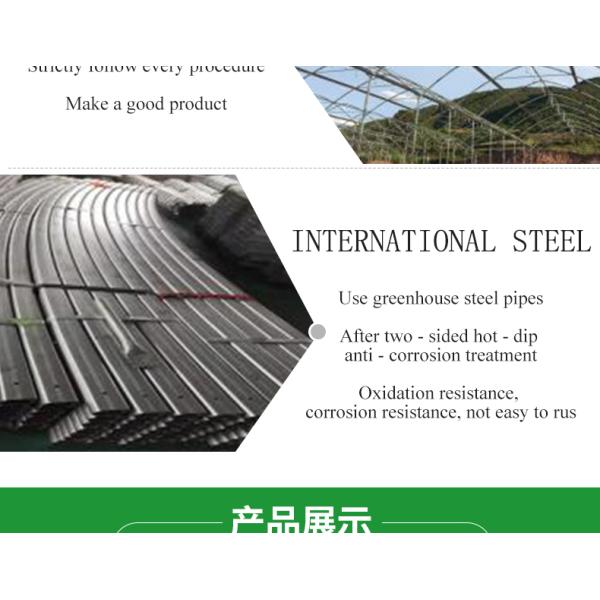 Film Cover Double Layer Hydroponics Grow Kit System for Greenhouse