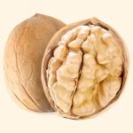 Walnut wholesale kernel walnut Factory price Food supplements walnuts peptide