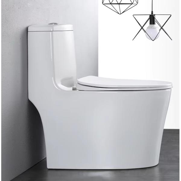 Floormounted Bathroom Sanitary Ware European Water Closet White Glazed Ceramic