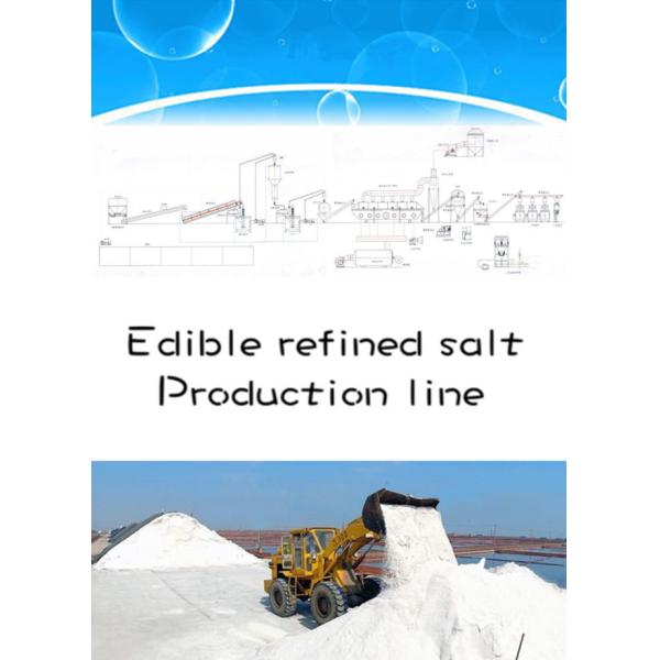 Customized Salt Production Line Good Overseas Service For Client