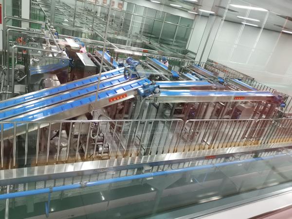 Quality Low Noise Automatic Packaging Line PLC Control Snacks Packing Machine for sale