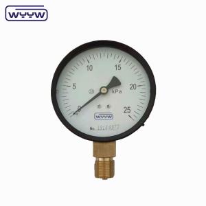 Capsule Pressure Gauge 100 Mbar Bellows Manometer 100mm G1/2