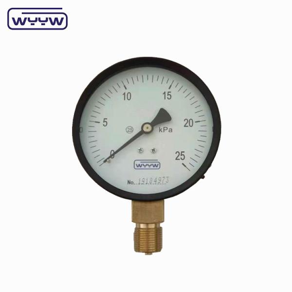 Quality Capsule Pressure Gauge 100 Mbar Bellows Manometer 100mm G1/2" for sale
