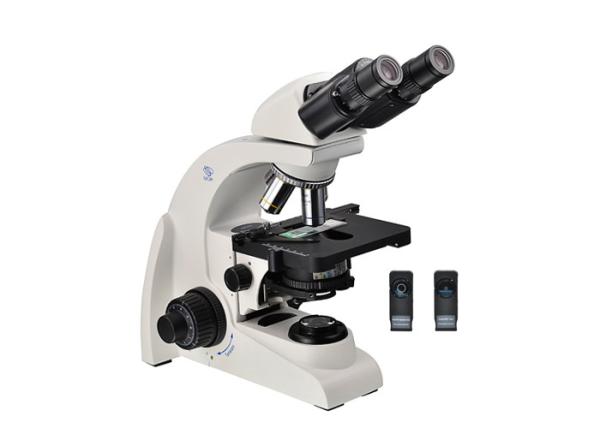 Quality Binocular Phase Contrast Microscope Upright Microscope 10x 40x 100x for sale
